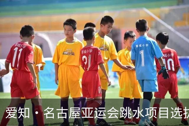 爱知·名古屋亚运会跳水项目选拔赛收官